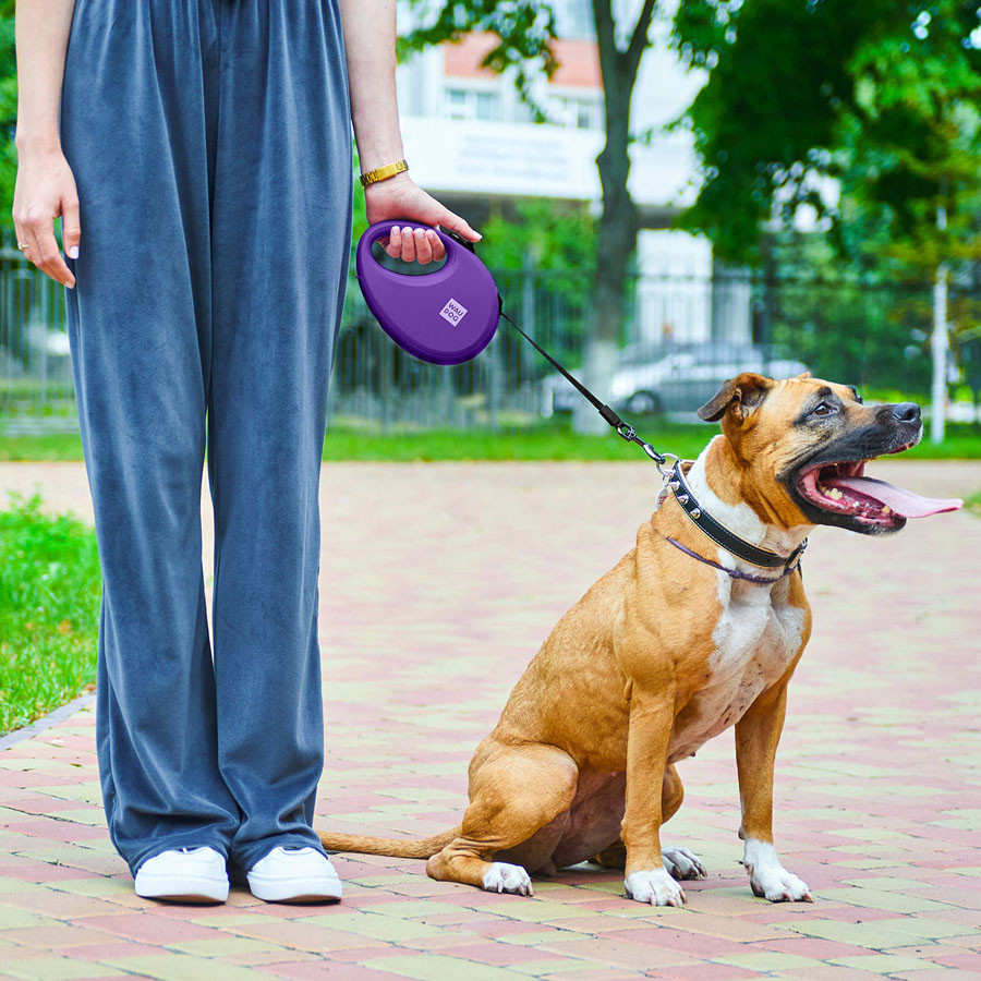 Поводок-рулетка для собак WAUDOG R-leash с контейнером для пакетов, светоотражающая лента, L, до 40 кг, 5 м, фиолетовый Киев - изображение 8