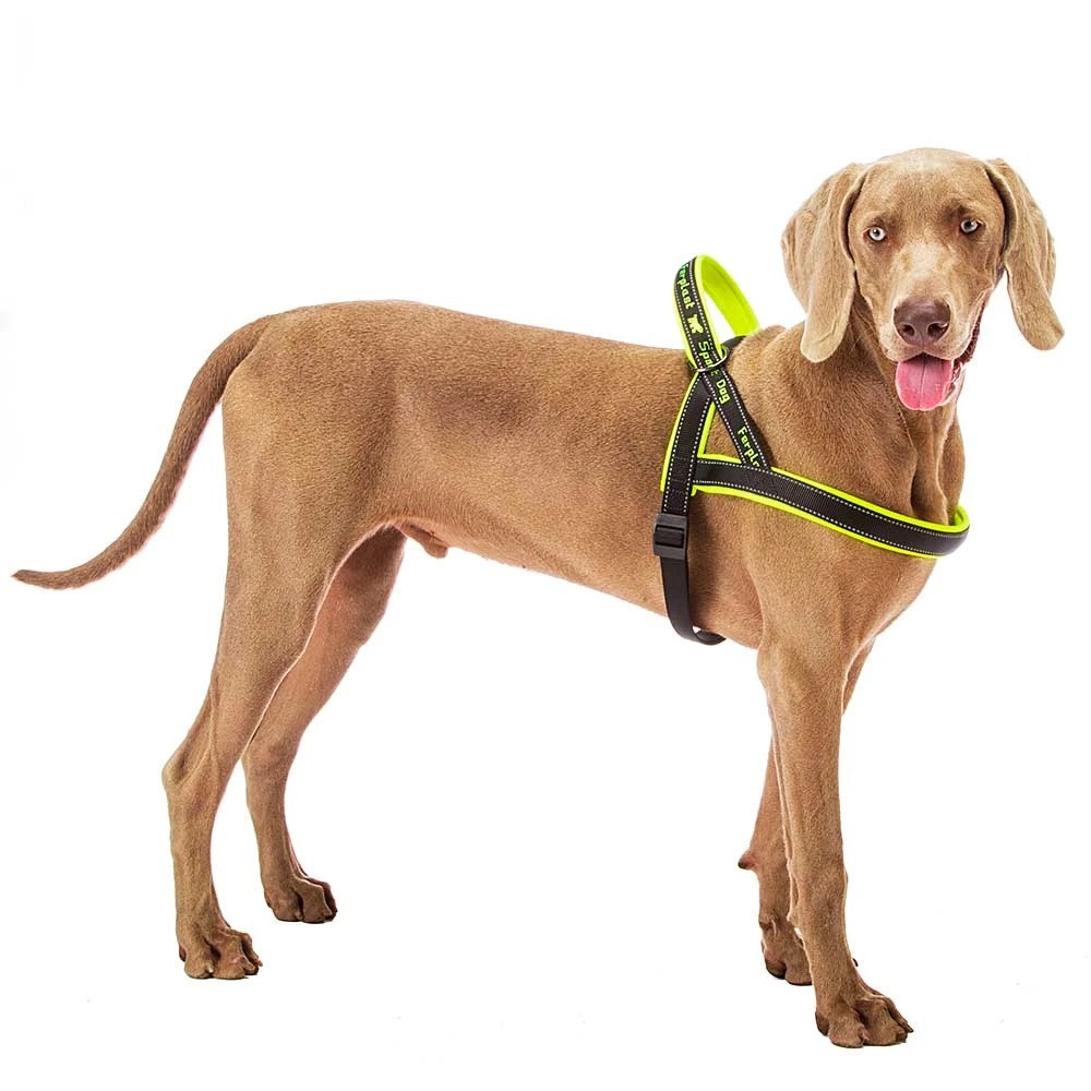 Нейлонова шлейка світловідражаюча норвезького типу для собак Ferplast Sport Dog P (Ферпласт Спорт Дог П) A: 65 см - B: 77 sign 98 см - L, Рожевий Запоріжжя - фото 6