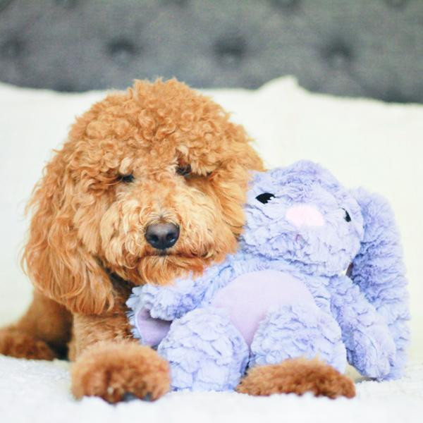 Іграшка для собак Patchwork Pet The Pastel Rabbit (Печворк Пет Пастельний Кролик) Запоріжжя - фото 3