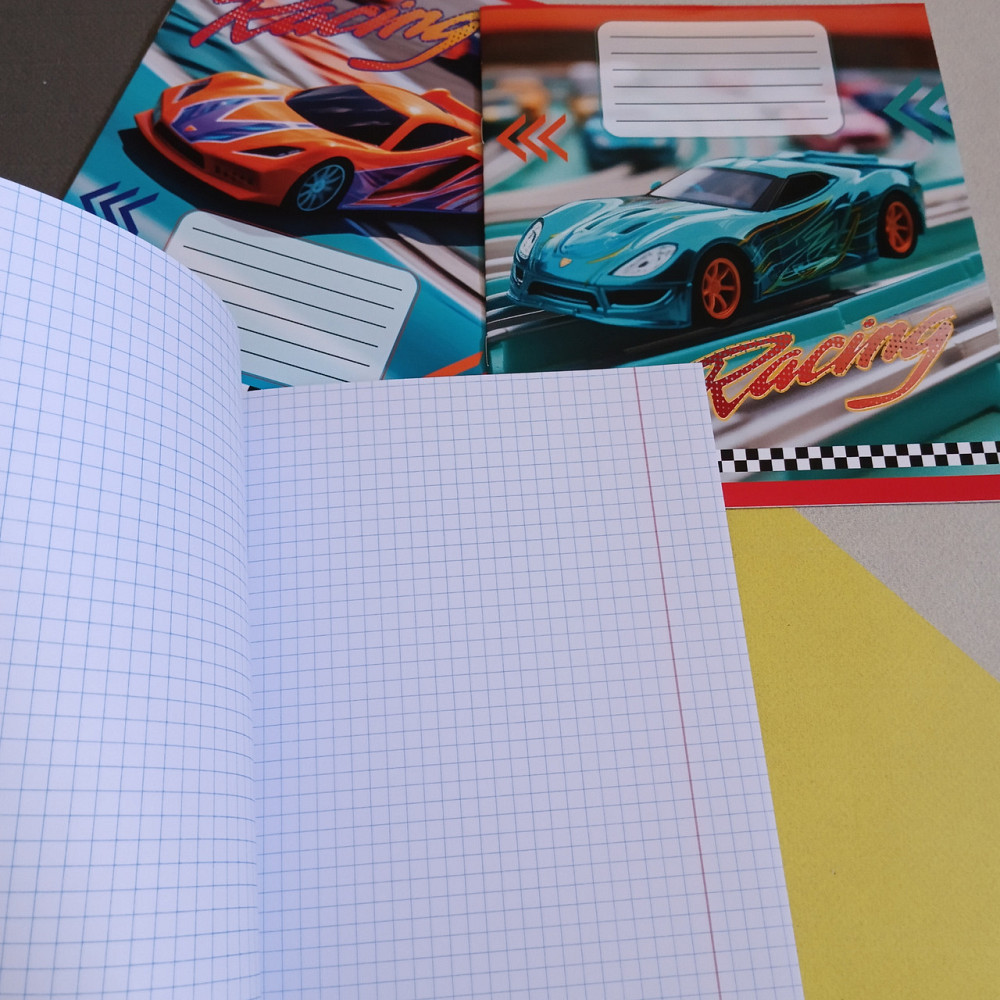 Школьные тетради 12ар клетка Лидер Киев - изображение 2