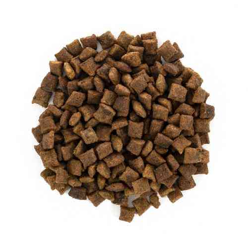 Корм сухой Brit Care Cat Grain Free Sterilized Urinary Health для стерилізованих котів для підтримання сечостатевої системи Київ