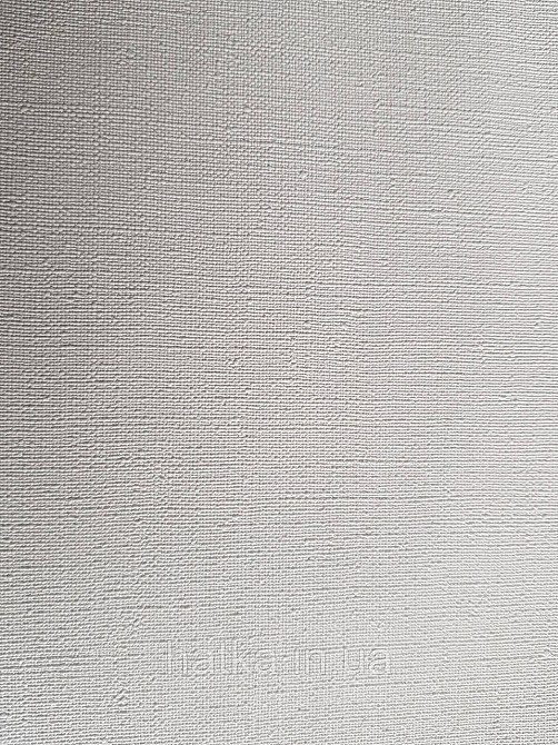 Ообои виниловые на флизелине Decoprint Onirigue 0,53x10 однотонные супермойка белые молочные Киев - изображение 1
