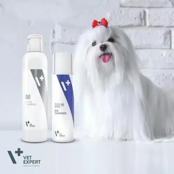 VetExpert White Shampoo - шампунь для собак и котов со светлым цветом шерсти 250 мл Винница