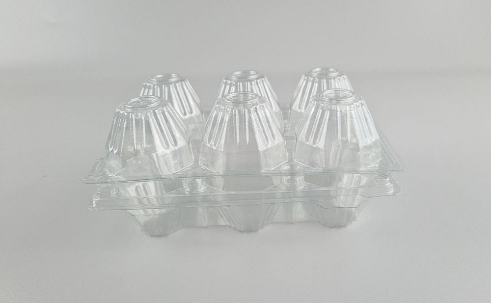 Упаковка для куриных яиц  6 ячеек (50 шт) Харьков - изображение 2