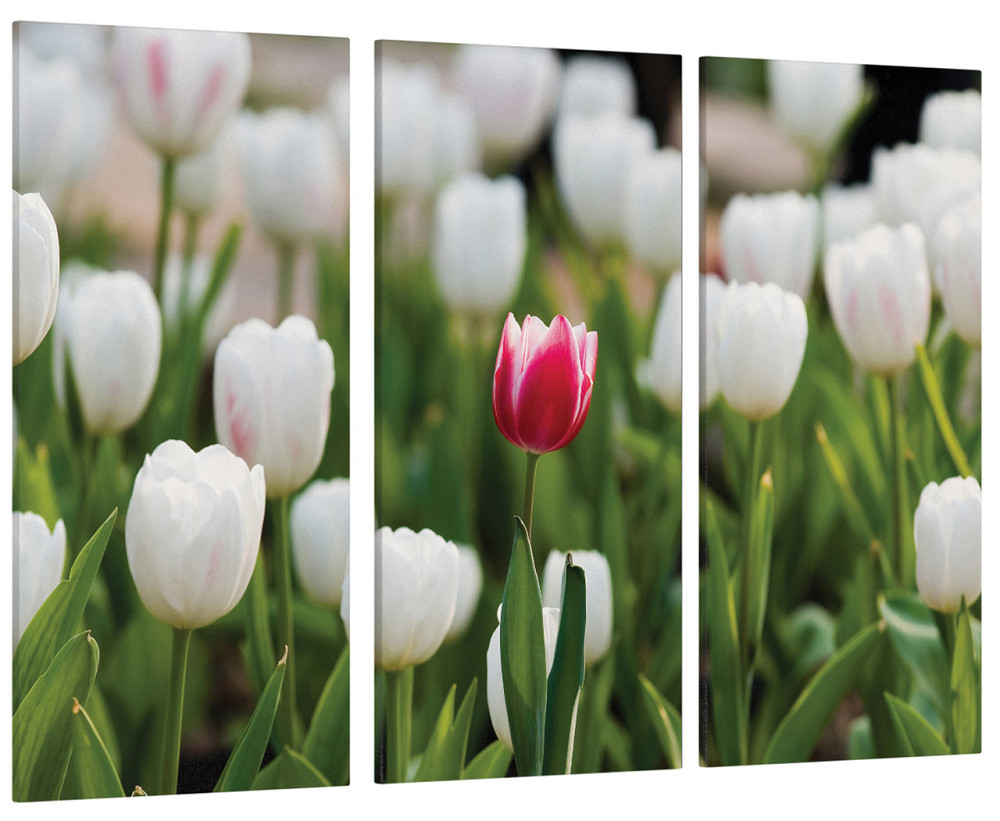 Модульна картина Тюльпани Art-134_XXL Київ - фото 1