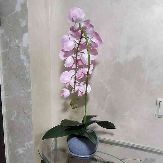 Штучна латексна орхідея VIP у сірому керамічному кашпо на одну рожеву гілку Дніпро