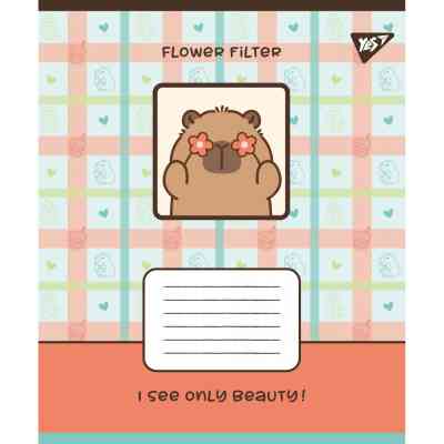 Зошит Yes Capy vibes А5 24 аркушів лінія (767956) Вінниця