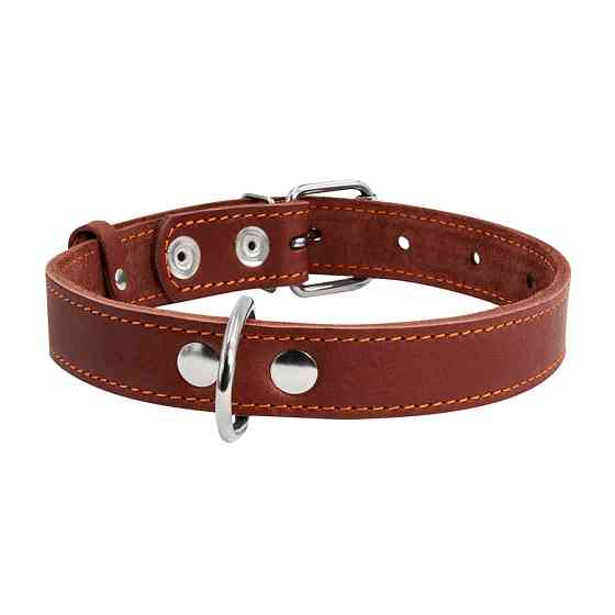 Нашийник "CoLLaR" одинарний (ширина 35мм, довжина 48-63см) коричневий Коломыя