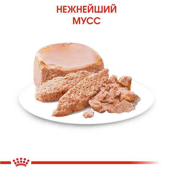 Royal Canin Starter Mousse Mother Babydog (Рояв Канін Стартер Мазер Бебідог) вологий корм для вагітних собак 0.195 кг. Запоріжжя