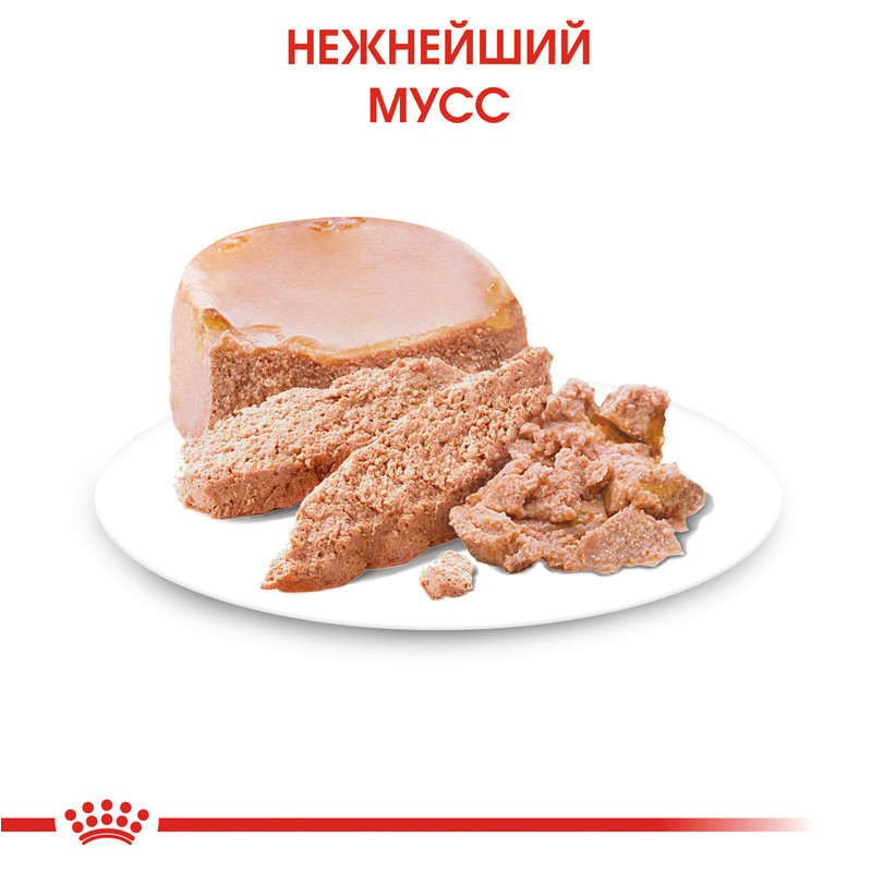 Royal Canin Starter Mousse Mother Babydog (Рояв Канін Стартер Мазер Бебідог) вологий корм для вагітних собак 0.195 кг. Запоріжжя - фото 5
