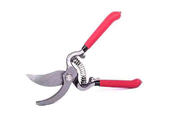 Секатор 200 мм FT-1003 FT-1003 ТМ INTERTOOL Київ