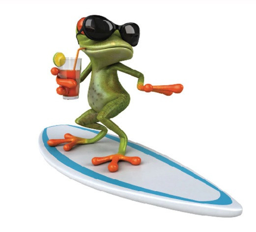 Наклейка Лягушка и серфинг 17 на 18 см разноцветный Киев - изображение 1