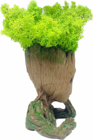 Кашпо горшочек со стабилизированным мхом Грут Groot G1 Винница