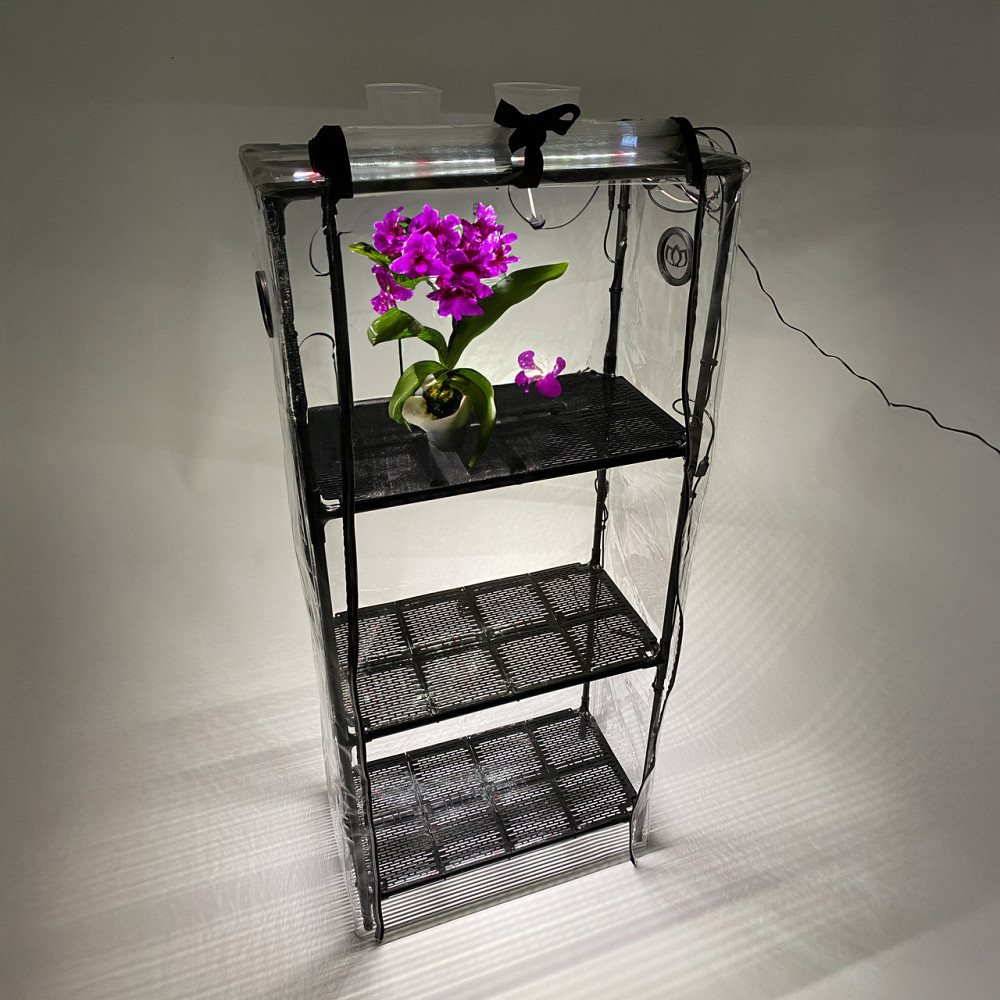 Міні-теплиця Tropic Black з автоматичним регулюванням вологості повітря, керуванням освітленням, тай Бориспіль - фото 10