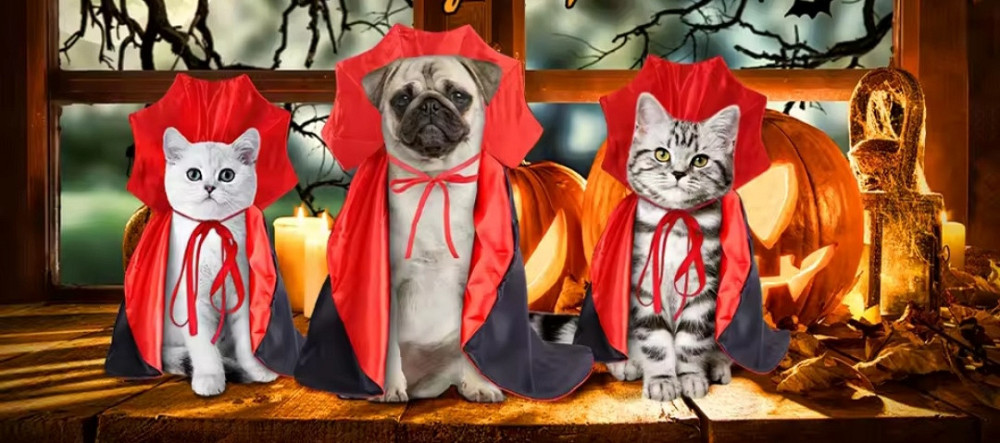 Плащ для собак і котів Вампір Хелловін М чорно-червоний Київ - фото 7