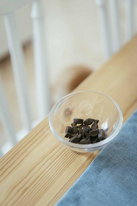 Мягкое лакомство для собак Сейвори Savory с антипаразитарным эффектом с тунец и диким чесноком 200 г Винница - изображение 4