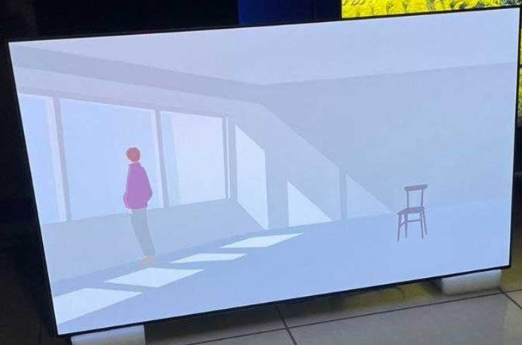 Телевизор Безрамный: 55