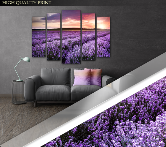 Модульна картина Лаванда Прованс Art-326_5 ( 80х118см ) Київ