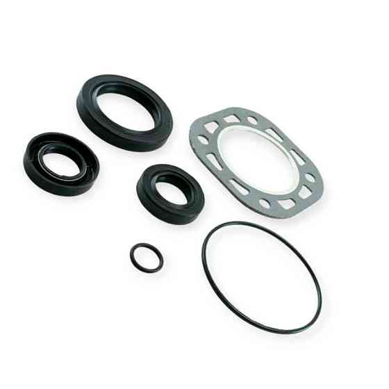 Ремкомплект (прокладки, обручки, манжет) МТЗ ПД Мукачево