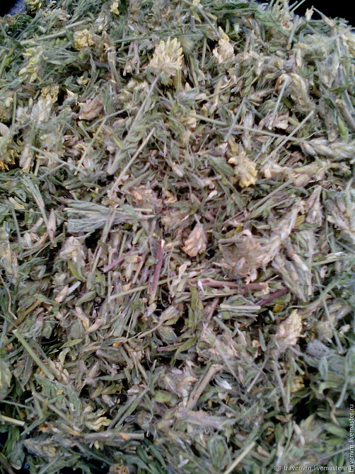 Астрагал шерстистоквітковий (Астрагал шерстистоцветковый) 100г master sem Киев - изображение 2