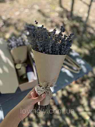 Лаванда сухоцвіт на стеблі 1 кг натуральні квіти лаванди для флористики та декору Ірпінь