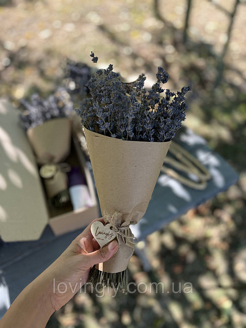 Лаванда сухоцвіт на стеблі 1 кг натуральні квіти лаванди для флористики та декору Ірпінь - фото 5