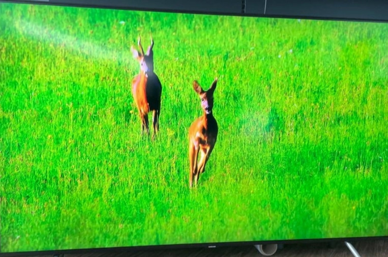 Телевизор 4K UHD QLED,HDR10+ Smart TV, Samsung QE55Q70RAT. Київ - фото 7