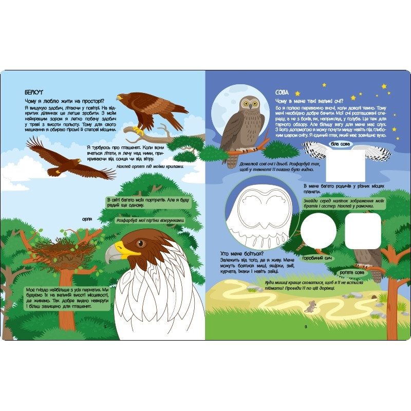 Развивающая тетрадь 