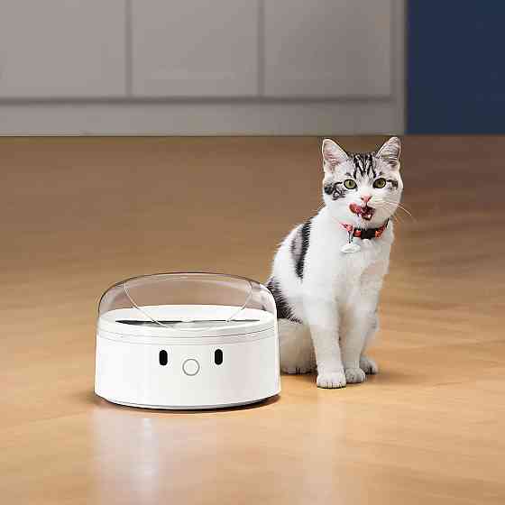 Набір міток CATLINK для Smart Feeder (2 нашийники для кішок і 2 теги UFO) UFO Tag set (2*collar+2*Tag) (6972884750217) Київ