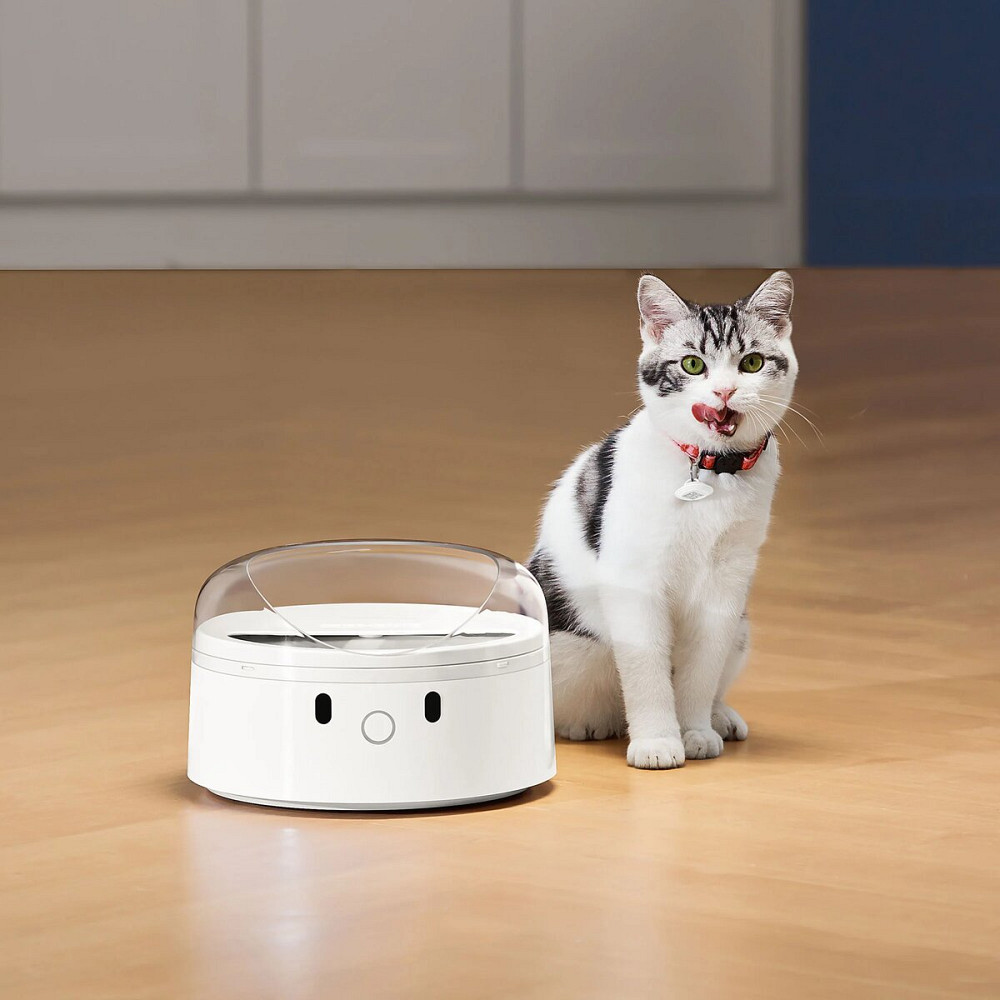 Набір міток CATLINK для Smart Feeder (2 нашийники для кішок і 2 теги UFO) UFO Tag set (2*collar+2*Tag) (6972884750217) Київ - фото 4