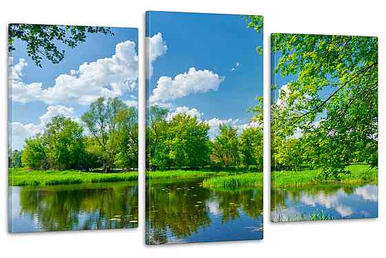 Модульная картина в гостиную / спальню  Природа  Art-661_3 Киев