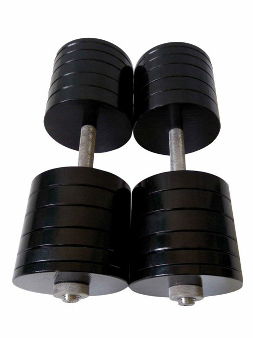 Гантелі набірні 2 по 50 кг Гантелі, гирі, штанги та диски металеві з порошковим фарбуванням Київ - фото 1