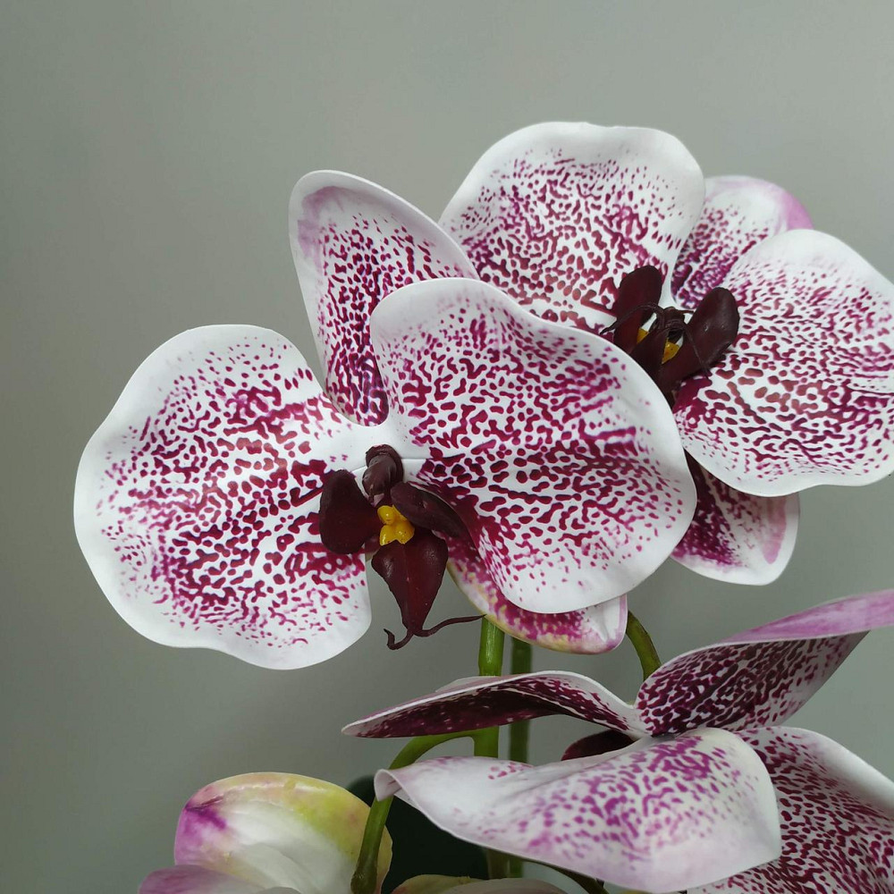 Штучна латексна орхідея VIP у бордовому керамічному кашпо на одну гілку бордовий градієнт Дніпро - фото 3