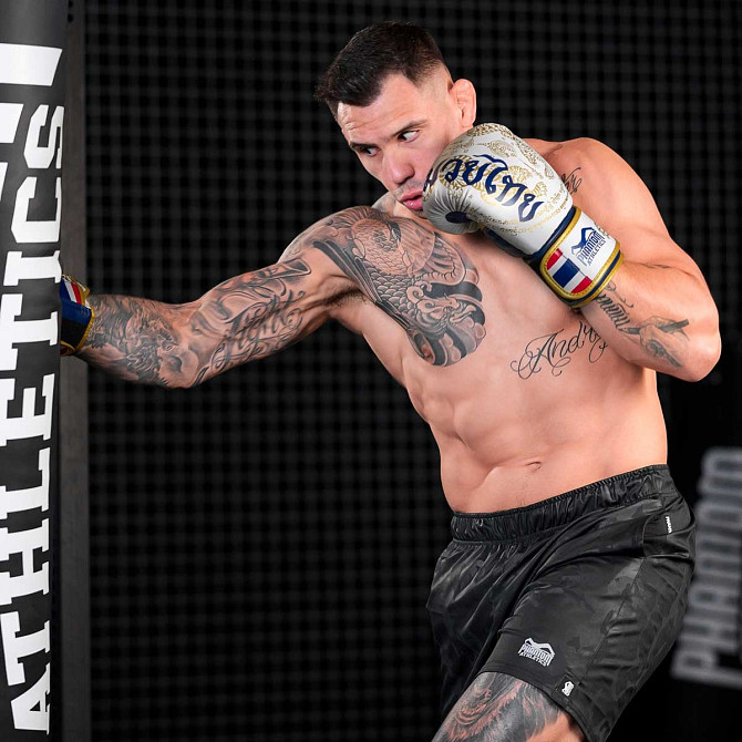 Боксерські рукавиці Phantom Muay Thai Gold Limited Edition 14 унцій (бинти в подарунок) Каменское - изображение 8