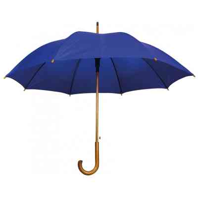 Парасоля Economix Promo TWIST тростина автомат, синя (E98400-02) Вінниця