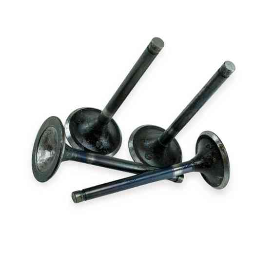 Клапана газ 2410, 2401, газ 53 впуск 4шт (элит- под газ) Мукачево