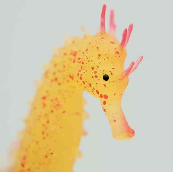 Морський коник силіконовий та люмінісцентний 10 на 5 см жовтий Київ