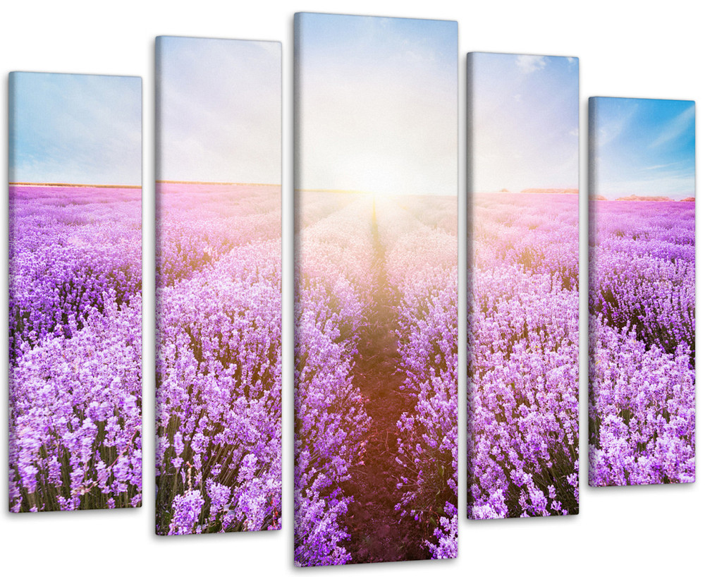 Модульная картина Поле Лаванда Art-173_5 Киев - изображение 1