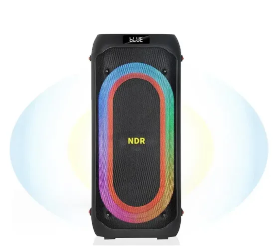 Портативна акустична колонка NDR-717 2x8" TWS/FM/USB/TF/BT/LED/REC з пультом та 2 мікрофонами Одеса