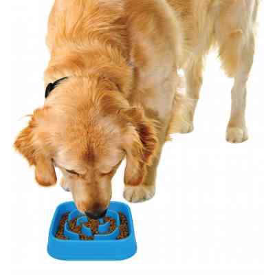 Посуд для собак Dexas Миска Slow Maze Feeder квадратна для повільного годування 960 мл блакитна (0084297309756) Вінниця