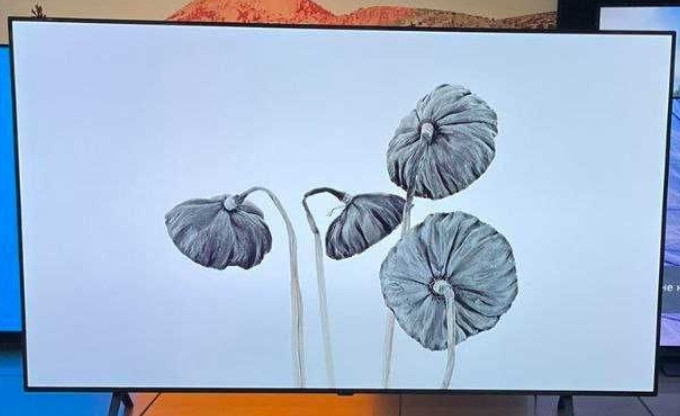 Телевізор Безрамний: 65" 4К, (2022) OLED Smart LG 65A29. Київ - фото 2