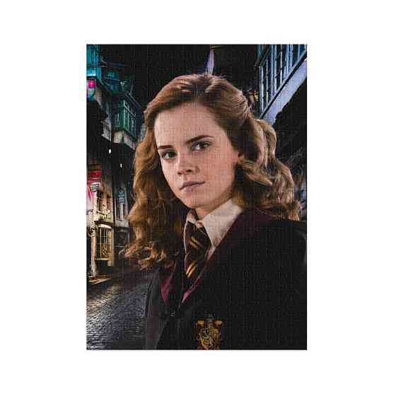 Пазл класичний Hard-M "Harry Potter. Портрет Герміони" 200577, 450 елементів Вінниця
