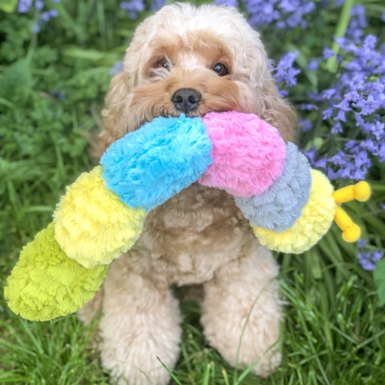 Іграшка для собак Patchwork Pet Caterpillar (Печворк Пет Гусениця) Запоріжжя