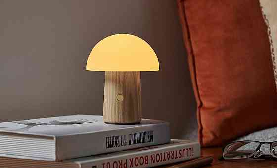 Светильник на аккумуляторе Gingko Alice Mushroom Lamp Mini Белый пепел Киев