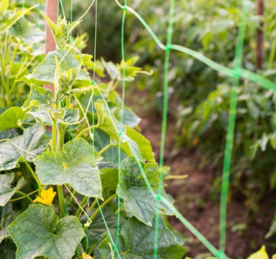 Огіркова сітка 15*18 1.70*10 метрів Агрокремінь Дніпро