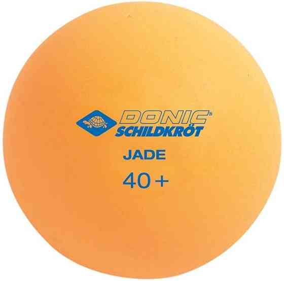 Мячи для настольного тенниса SCHILDKROT Jade Poly 12 шт, оранжевый-белые Киев