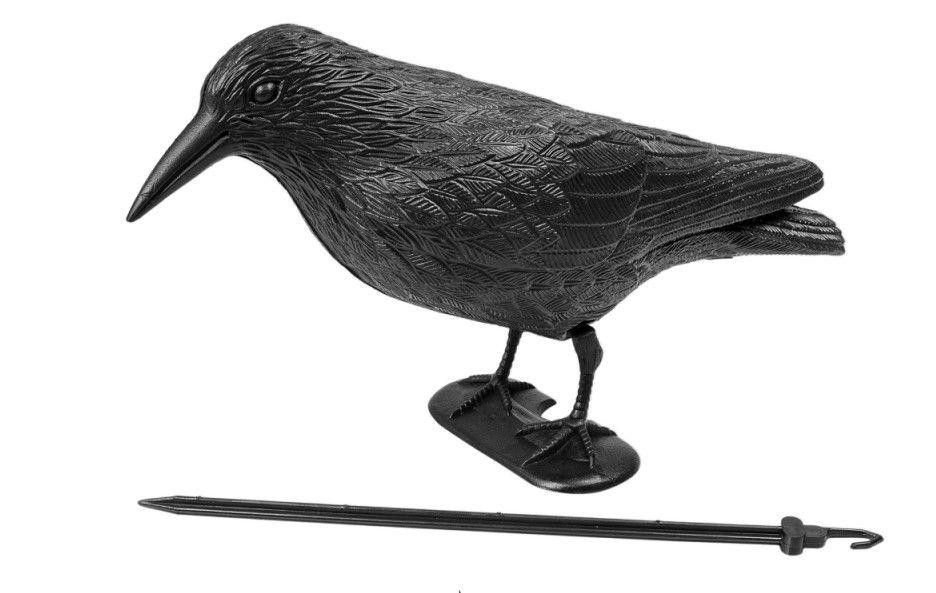 Макет ворона для відлякування птахів Київ - фото 2