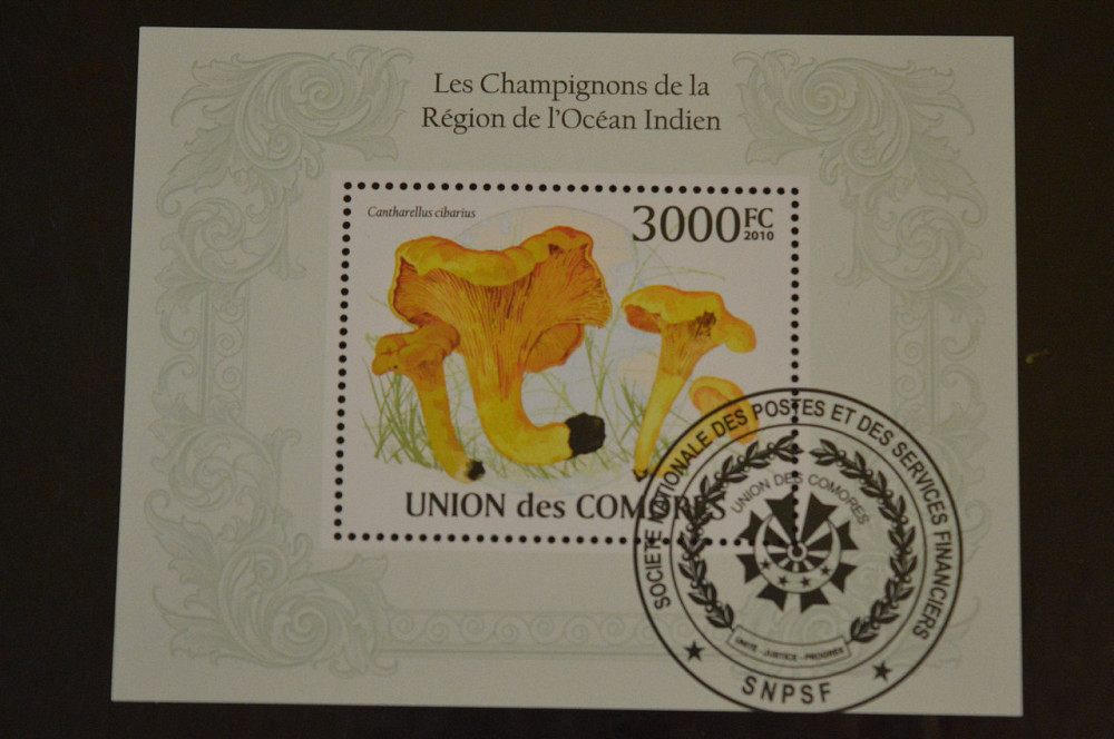 Коморы. Марки. Фауна. Блок. 2010 год (В-5) Полтава - изображение 1