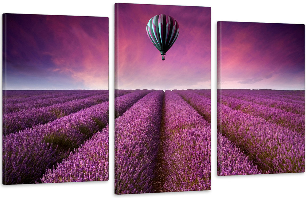 Модульная картина в гостиную / спальню Лаванда Art-619_3 70x130 см Киев - изображение 1