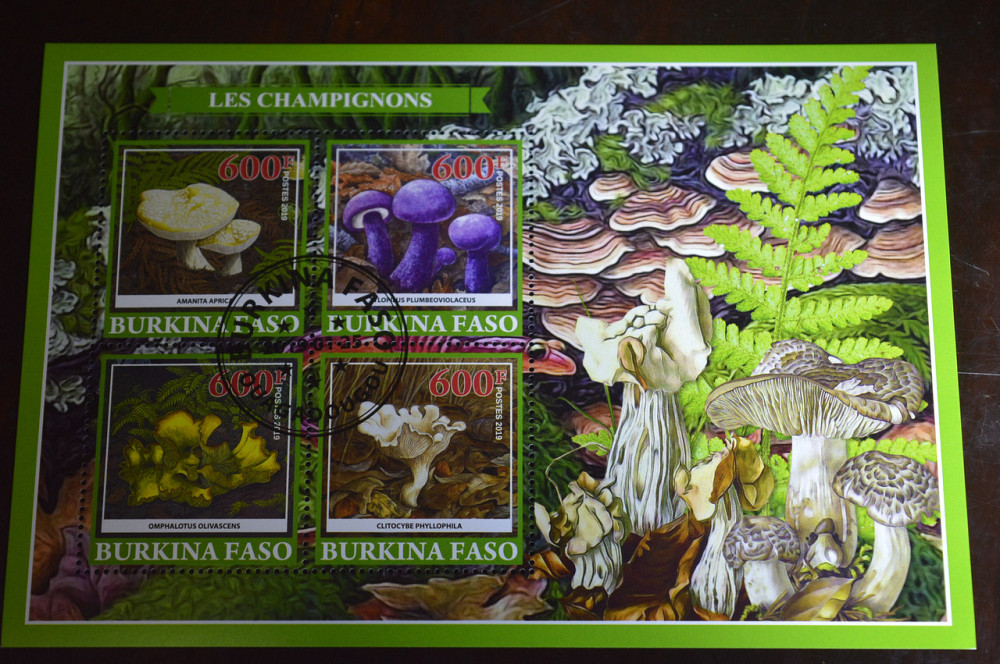 Буркина Фасо. Фауна. Марки. Блок. 2014 год (А-10) Полтава - изображение 1